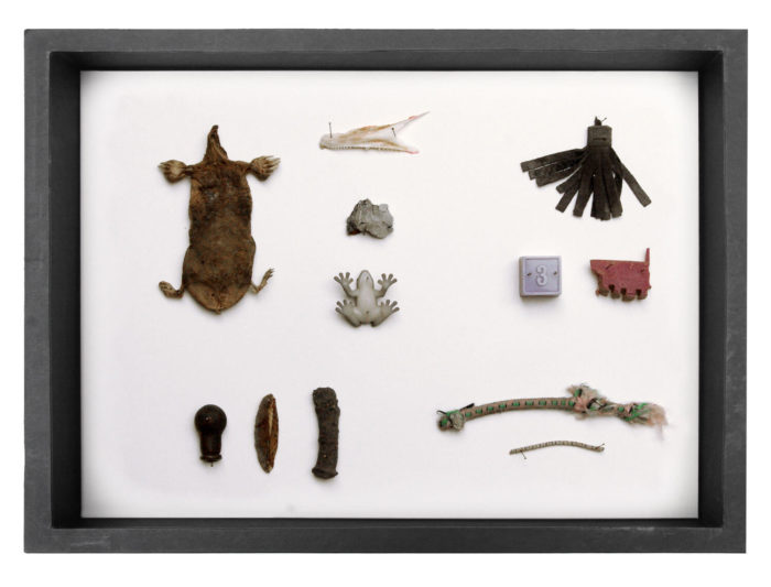 Edith Payer, Sloane's Agony box numéro 16 constitué d'objets trouvés dans la rue. Le Cube - independent art room, Rabat, Maroc