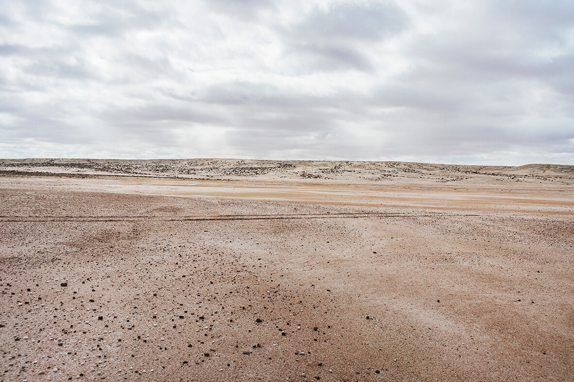 Abdessamad El Montassir, Al Amakine, une cartographie des vies invisibles, 2016-2017. Série de photographies de plantes et de paysages qui, à partir des poésies et des savoirs oraux, permettent de dessiner une nouvelle cartographie du Sahara au Maroc.