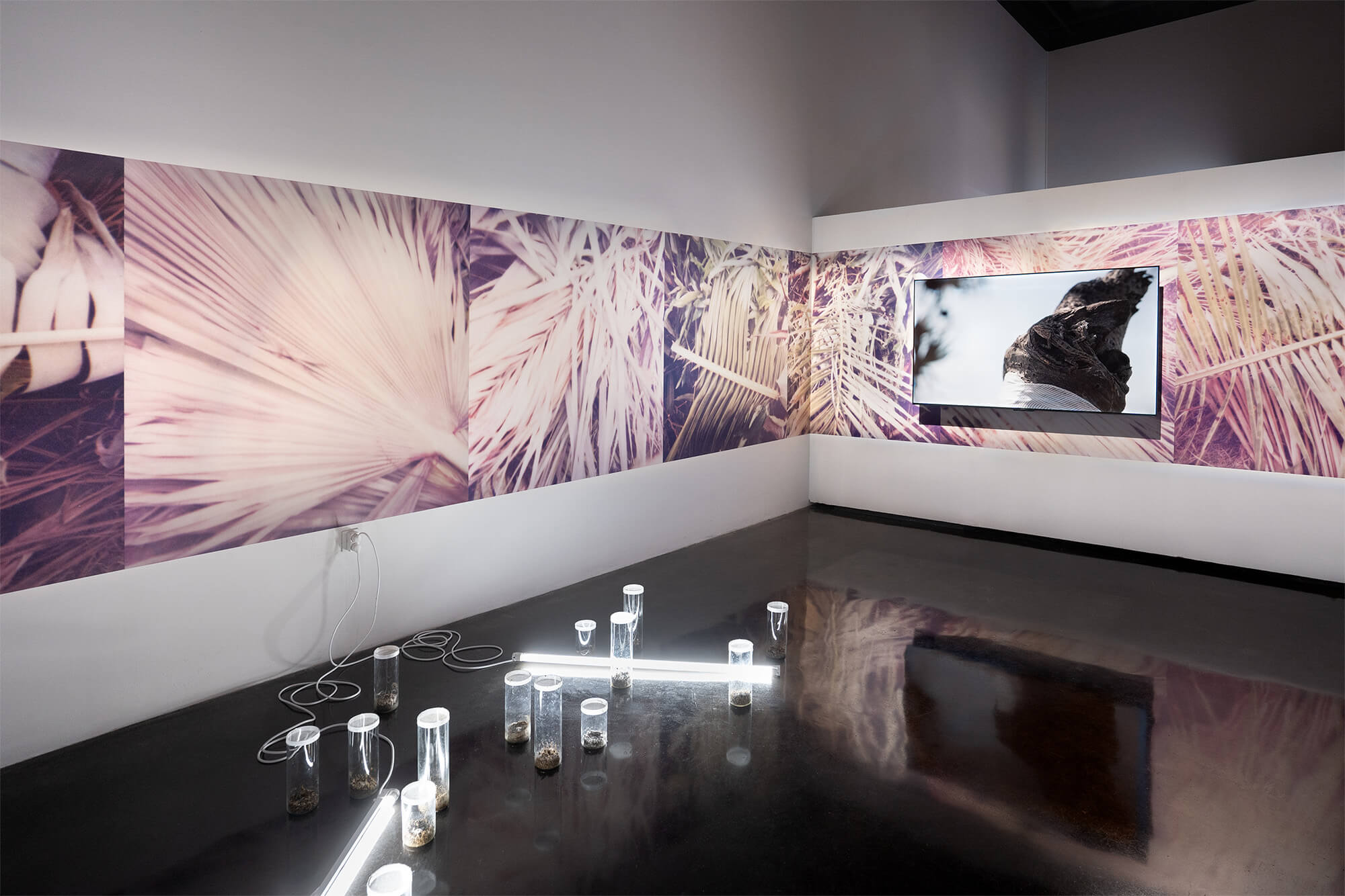 vue d'exposition : Blessure corail, 2025, Banyan – centre d’art contemporain de la Cité des Arts, La Réunion, photo : Hugo Valera © ADAGP, Paris 2026