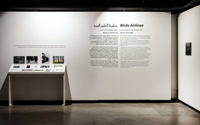 Ziad Naitaddi, Birds Airlines, La Condition Publique, 2026